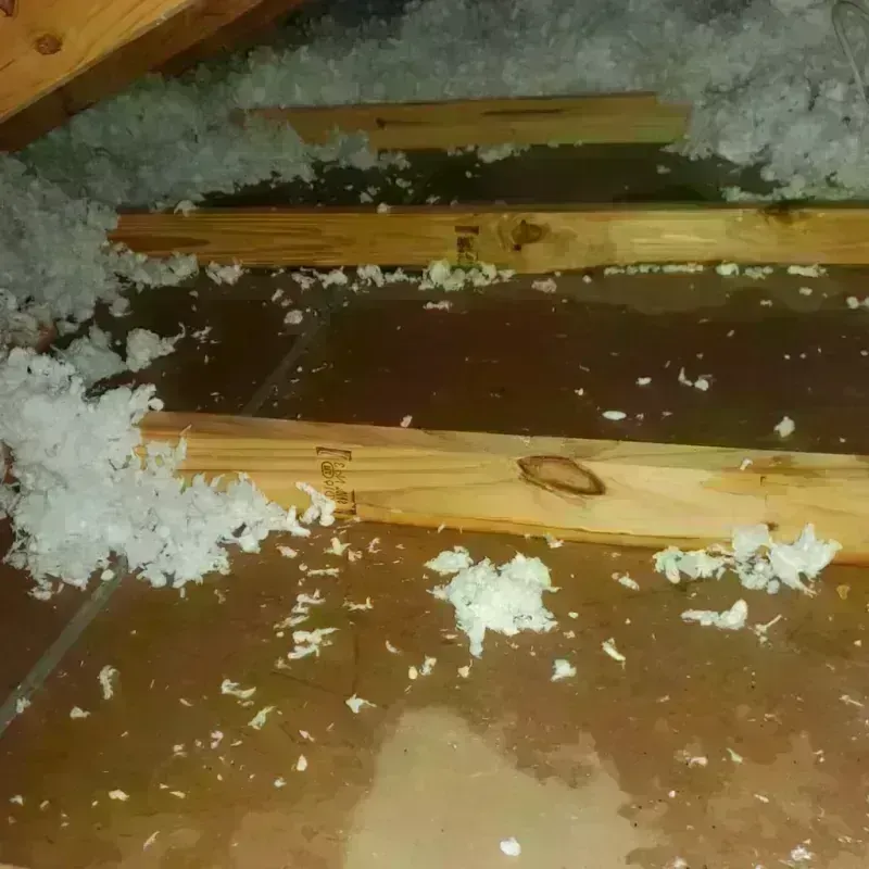 Attic Water Damage in Tornillo, TX